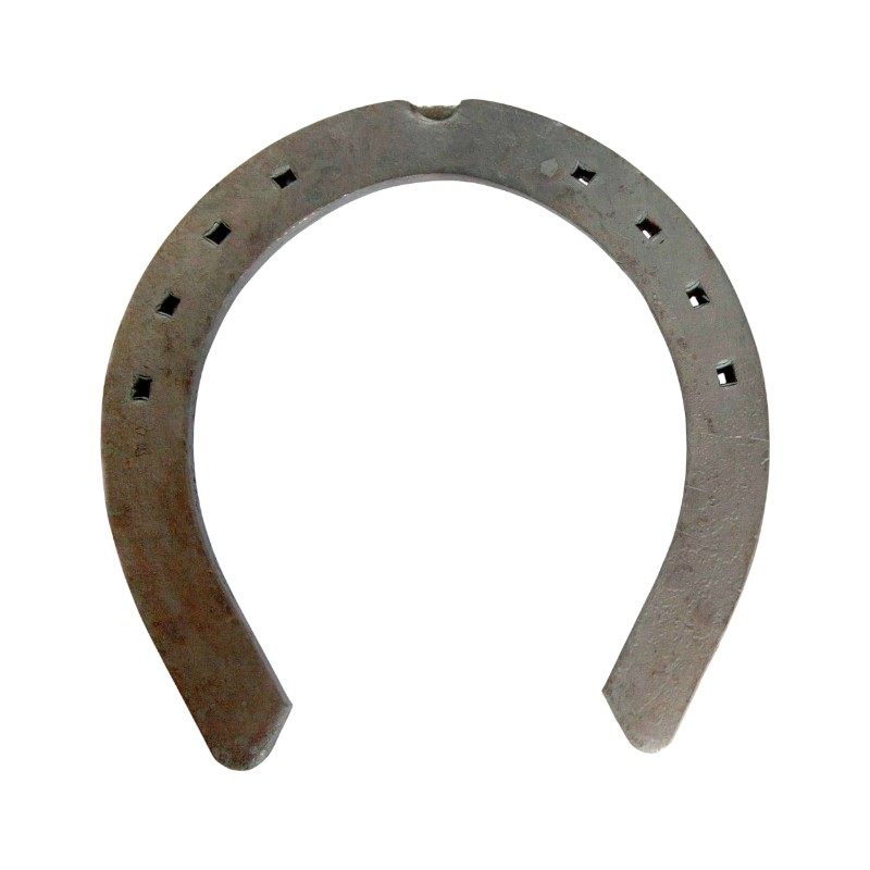 Craftsmen Shire Horseshoes