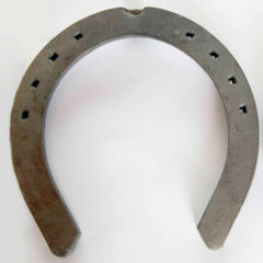 Craftsmen Heavy Horseshoes
